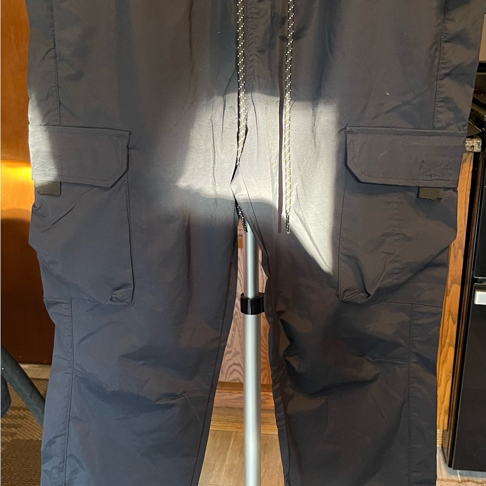 BNWT Pacsun cargo pants (Sold in another app)